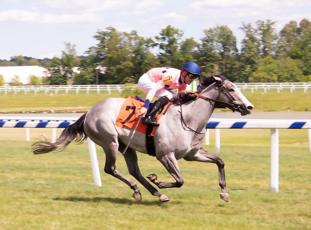 Fionnbharr Fionnbharr broke her maiden at Laurel Park. Photo by Jim McCue, Maryland Jockey Club.