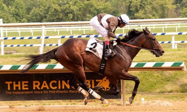 Pricey purchase Gnarly Mo cruises to maiden score