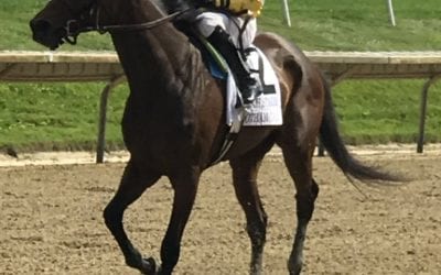 Gotham Gala scores in Obeah