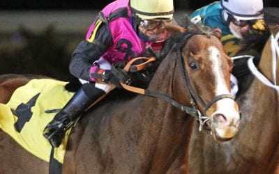 Mean Bean retired, Harrison says