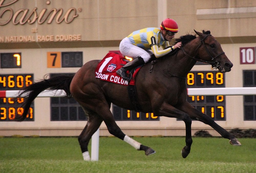 Penn Mile stakes snippets