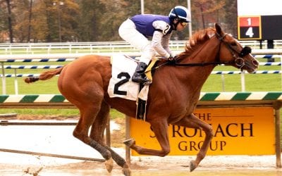 Solid group set to contest Light Hearted Stakes