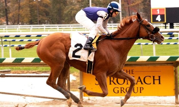 Solid group set to contest Light Hearted Stakes