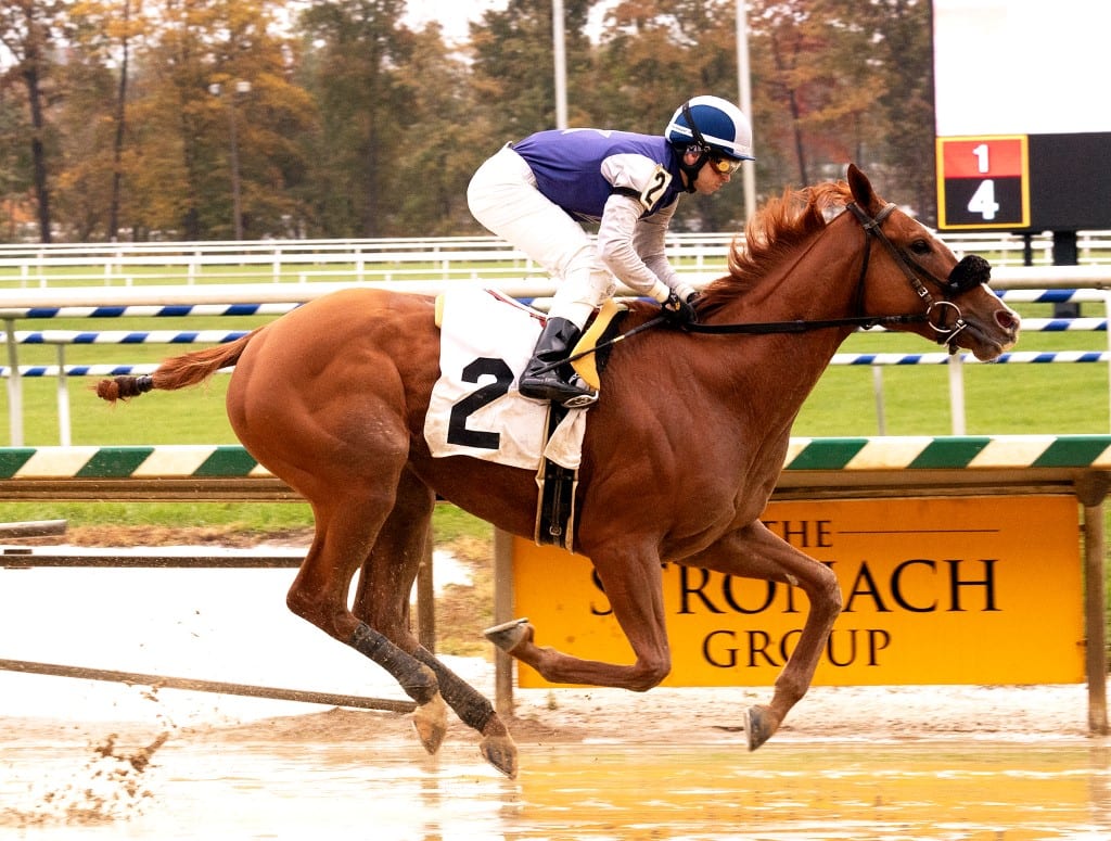 Our Super Freak Our Super Freak