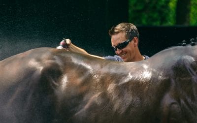 Trainer Jose Camejo making most of unexpected path