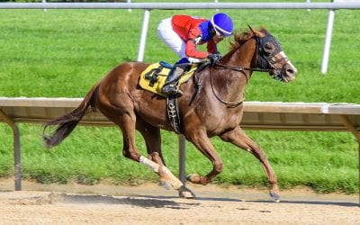 Sweetheart warrior Drop Dead Red takes aim at Obeah