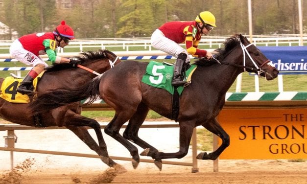 Modestly priced Rookie Salsa adding spice for local connections