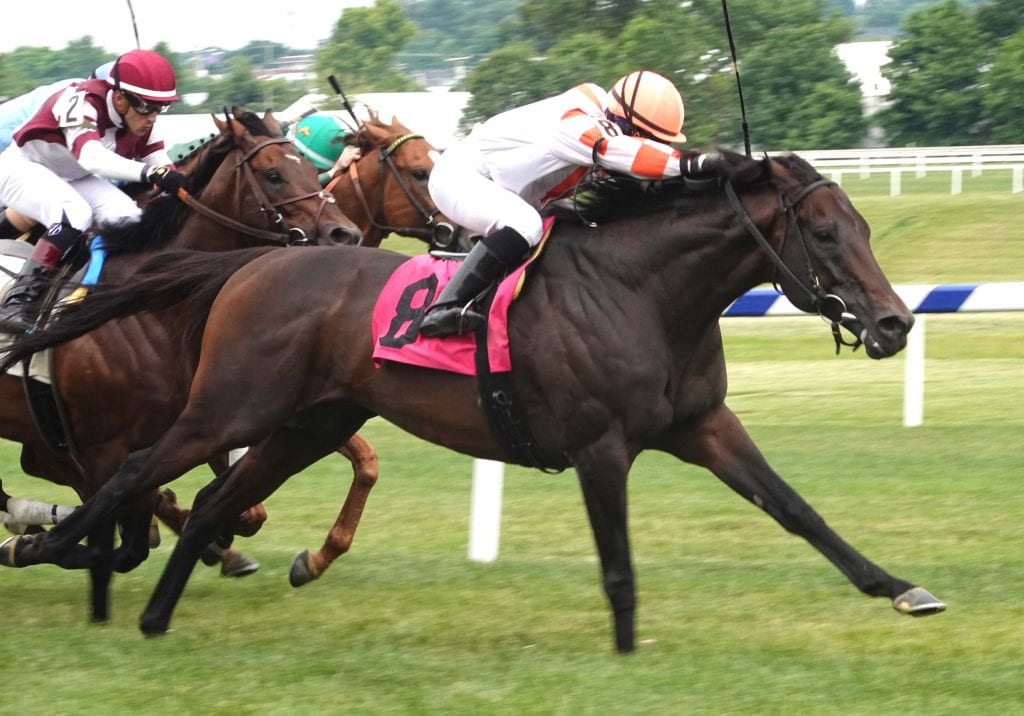 doc-4442 Doctor Mounty