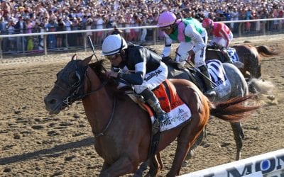 Sir Winston runs, and you can Walk for the Horses: The week in social media