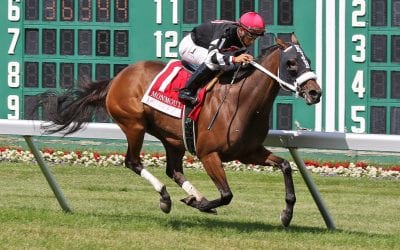Valedictorian tabbed as NJ-bred Horse of the Year