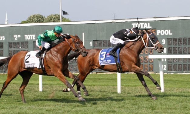 Parx picks and horses to watch: August 2
