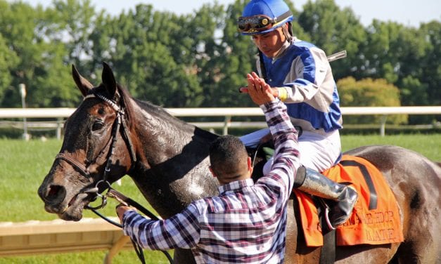 MATCH Series: Growing clarity on the track, but some concerns off it