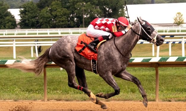 Bull Shark wins Laurel feature, now 2-for-2