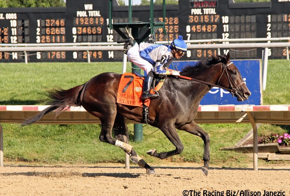 Delaware Handicap day stakes picks