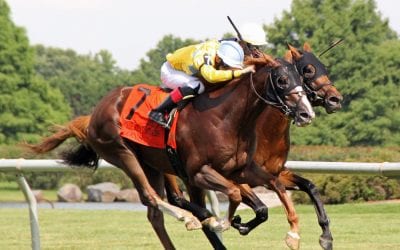 Gufo tabbed as G3 Kent Stakes favorite