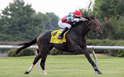 John Curran’s last call