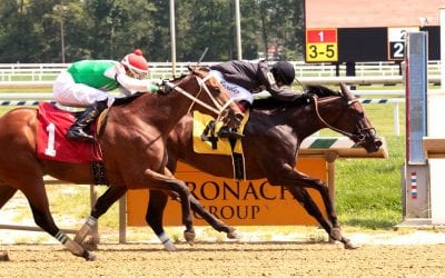 Golden Lad, Gifted Heart, and PA Day at the Races: The week in social media