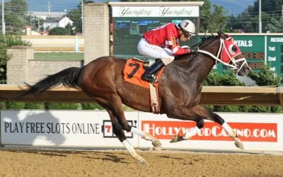 Moments Notiz, Cherokee Blessing strike blows for elderly set