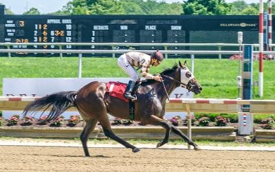 Aimee Hall doing it all with blue-collar stable