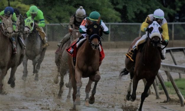 For Blue Prize, added ground could be key