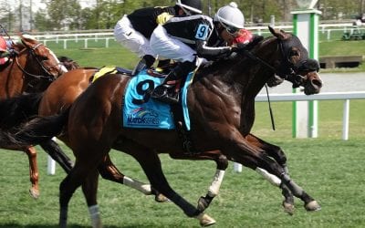 In with the old as Teletimer returns at Laurel Park