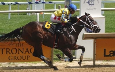 Multiple graded winner Late Night Pow Wow retired