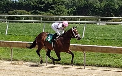 Carol Cedeno aims for 7th Delaware jockey title
