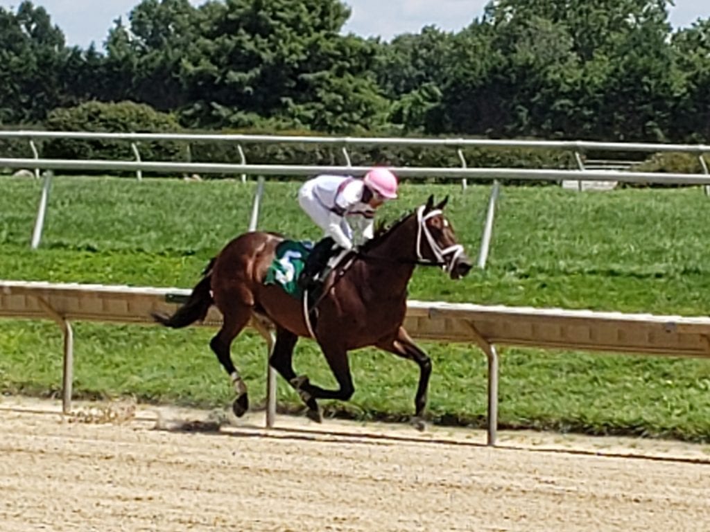 star fitzstall Star Fitzstall