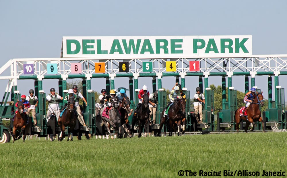 48276328116_249f1c02d7_o Delaware Park
