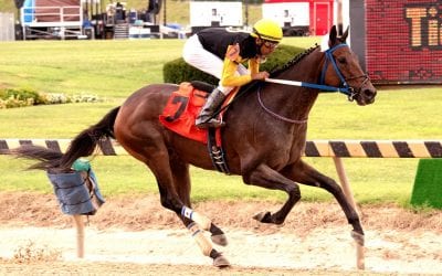 Clubman tabbed as favored in Mint Mission Overnight Stk.