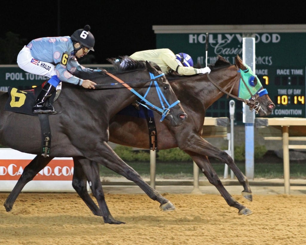 K TOWN BRASS – Robert G Leavitt Stakes – 08-17-19 – R07 – CT – Finish K Town Brass