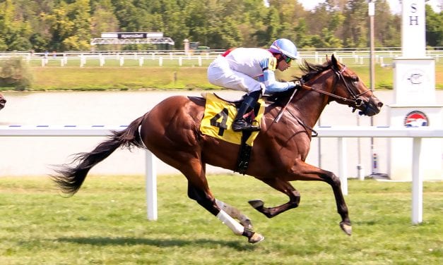 King of Egypt reigns at Laurel Park for sire American Pharoah