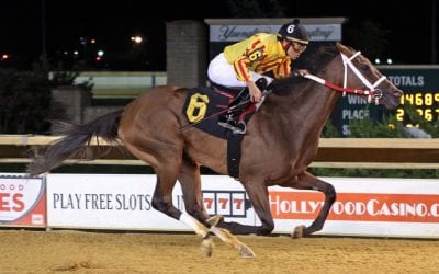 Parisian Diva set to represent home team in CT Oaks