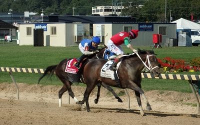 PA battles, WV-breds, and more: The week in social media