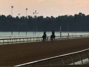 colonial horses august2019