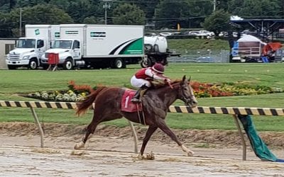 Maryland purses to get boost