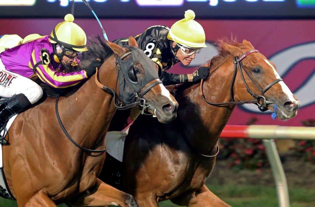 English Bee hoping to sting rivals in Henry S. Clark