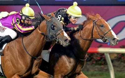 For Virginia horsemen, optimism despite clouds