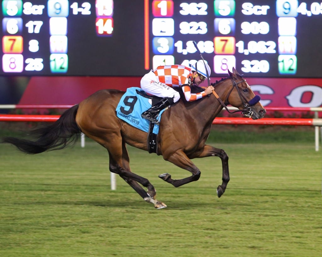 HOLLY HUNDY – The Camptown Stakes – 09-07-19 – R08 – CNL – Finish Holly Hundy