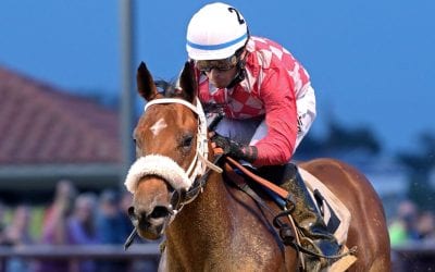 Wins for Twirling Owen, Hypothesis have connex thinking of WVBC