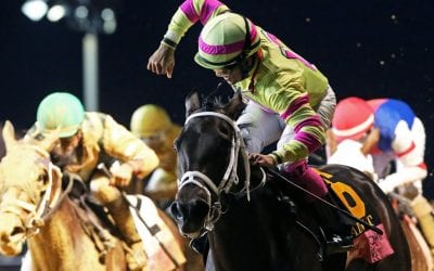 Charles Town to race April 23