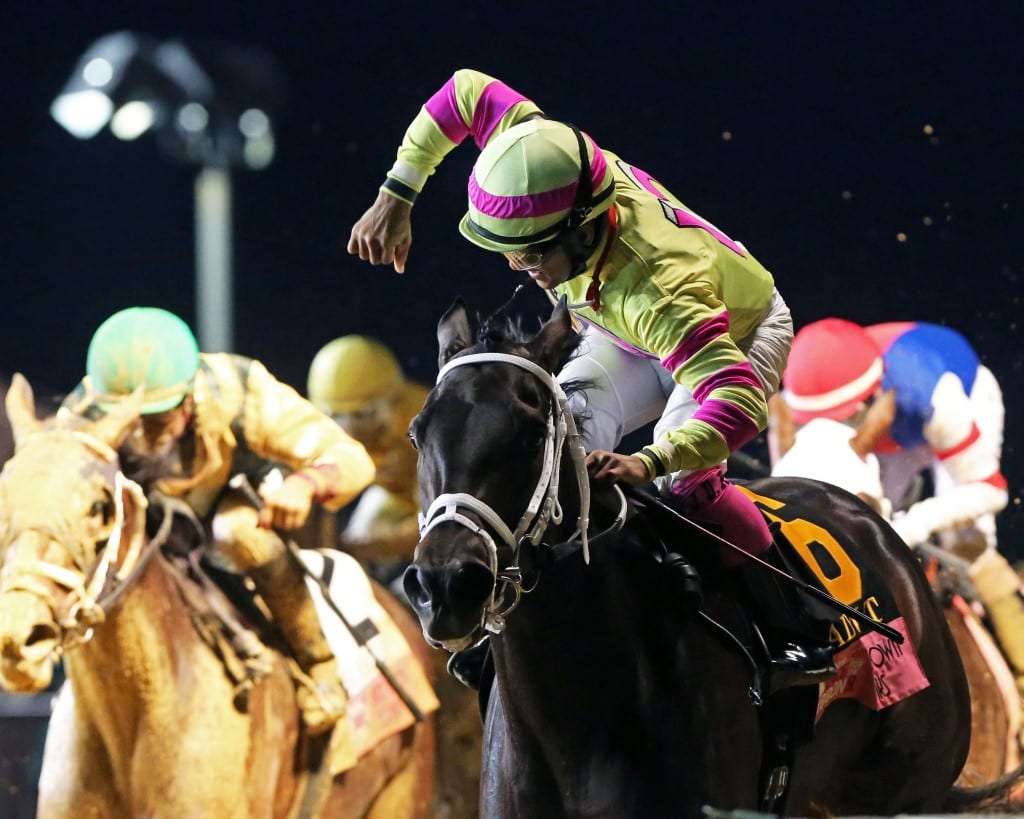 LADY T N T – The Charles Town Oaks G3 – 11th Running – 09-21-19 – R11 – CT – Celebration 01 Lady T N T
