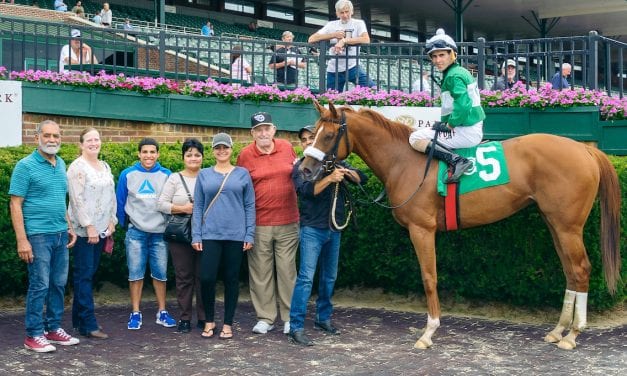Assistant Karin Wagner’s career built on love of horses