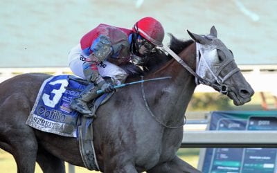 Parx Racing cancels Jan. 21 card