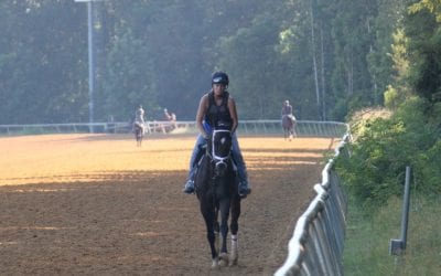Youngkin’s gray games veto right for racing