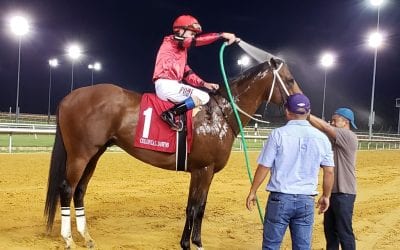 Laurel to host Virginia-bred stakes