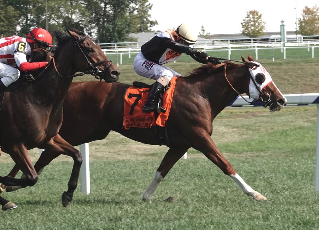 caribou-7217 Caribou Club