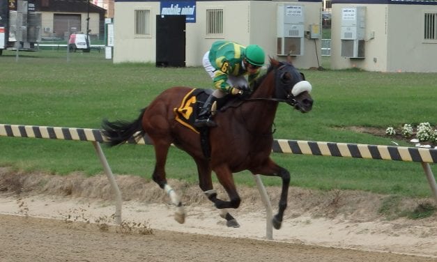 Conjecture delivers immediate returns in Big T feature