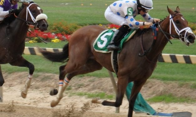 Jocks hope Big T wins bring Laurel fall success