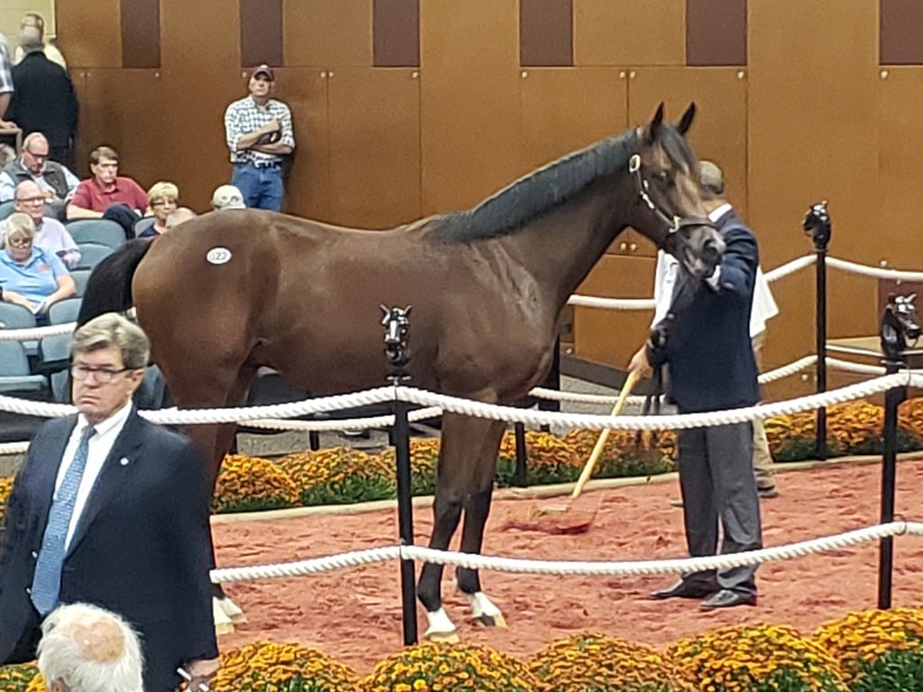 hip 22-2019 ft yrling sale Fasig-Tipton